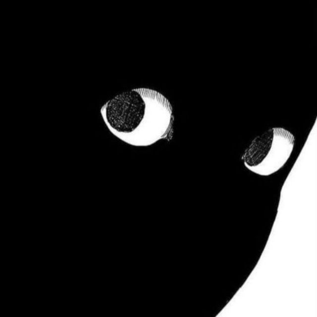 m0djeK16 avatar