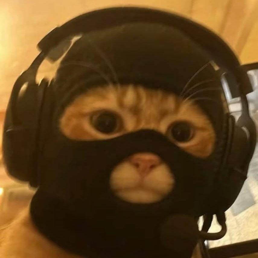 savasx00 avatar