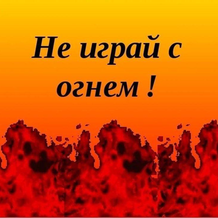 Rustik_ogon