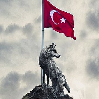TurkWolf