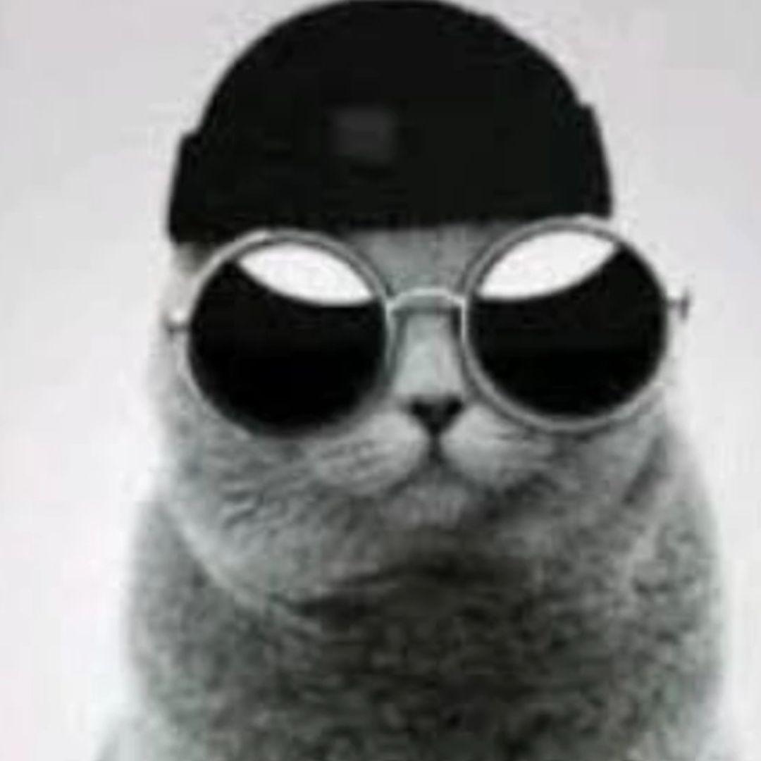 --majootto avatar