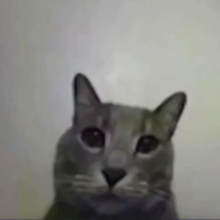 dolbanator57 avatar