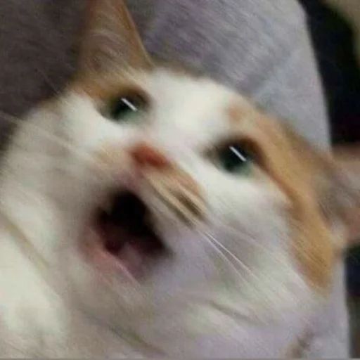 D65K