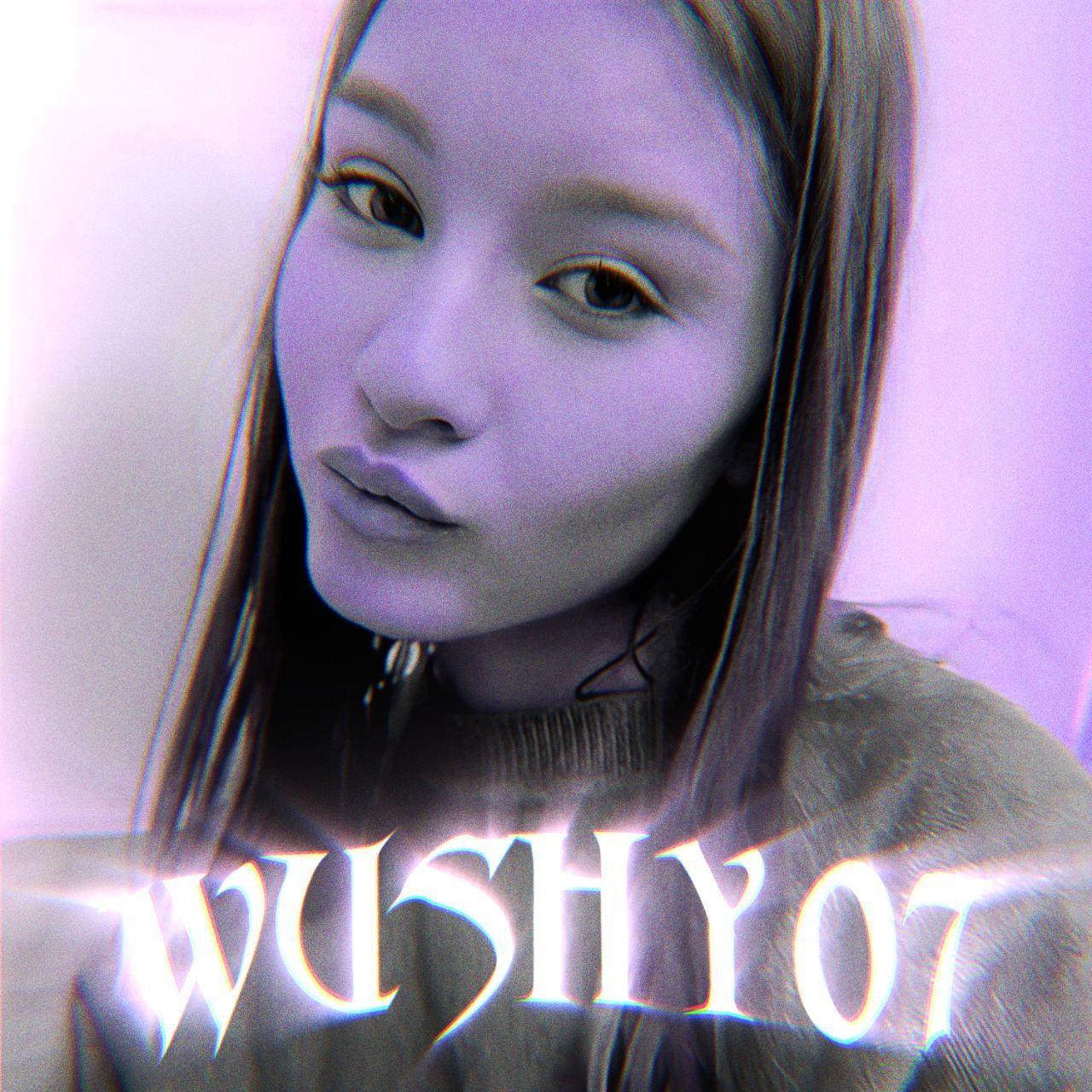 Wushy07 avatar