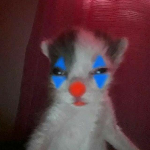 norpe6 avatar