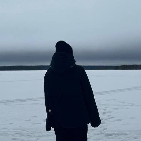 sh1r04k avatar