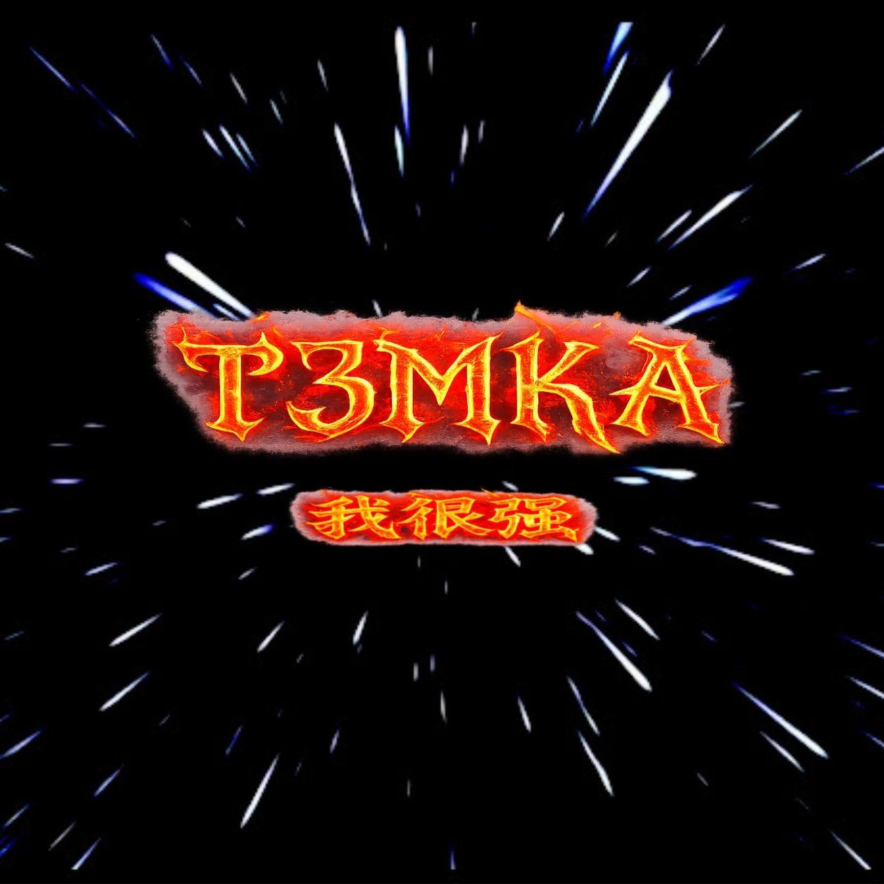team_T3mka