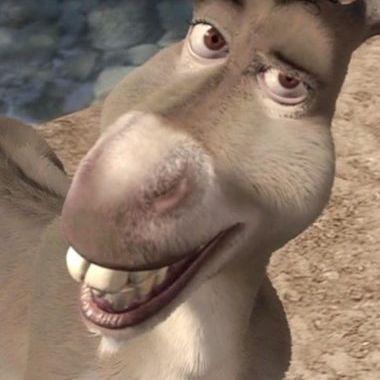hajlajt1 avatar