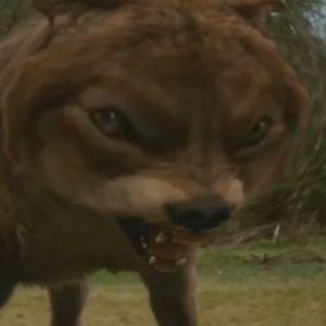 E3ssential avatar