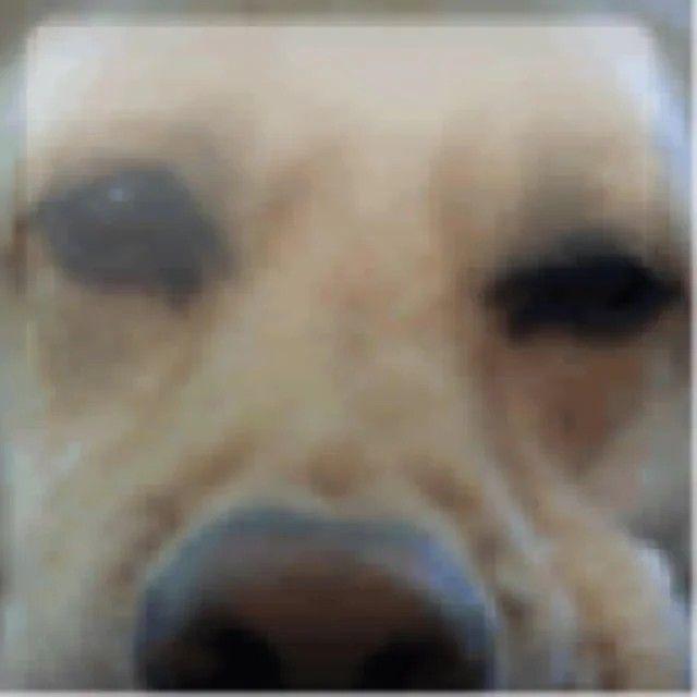 Sanczez_