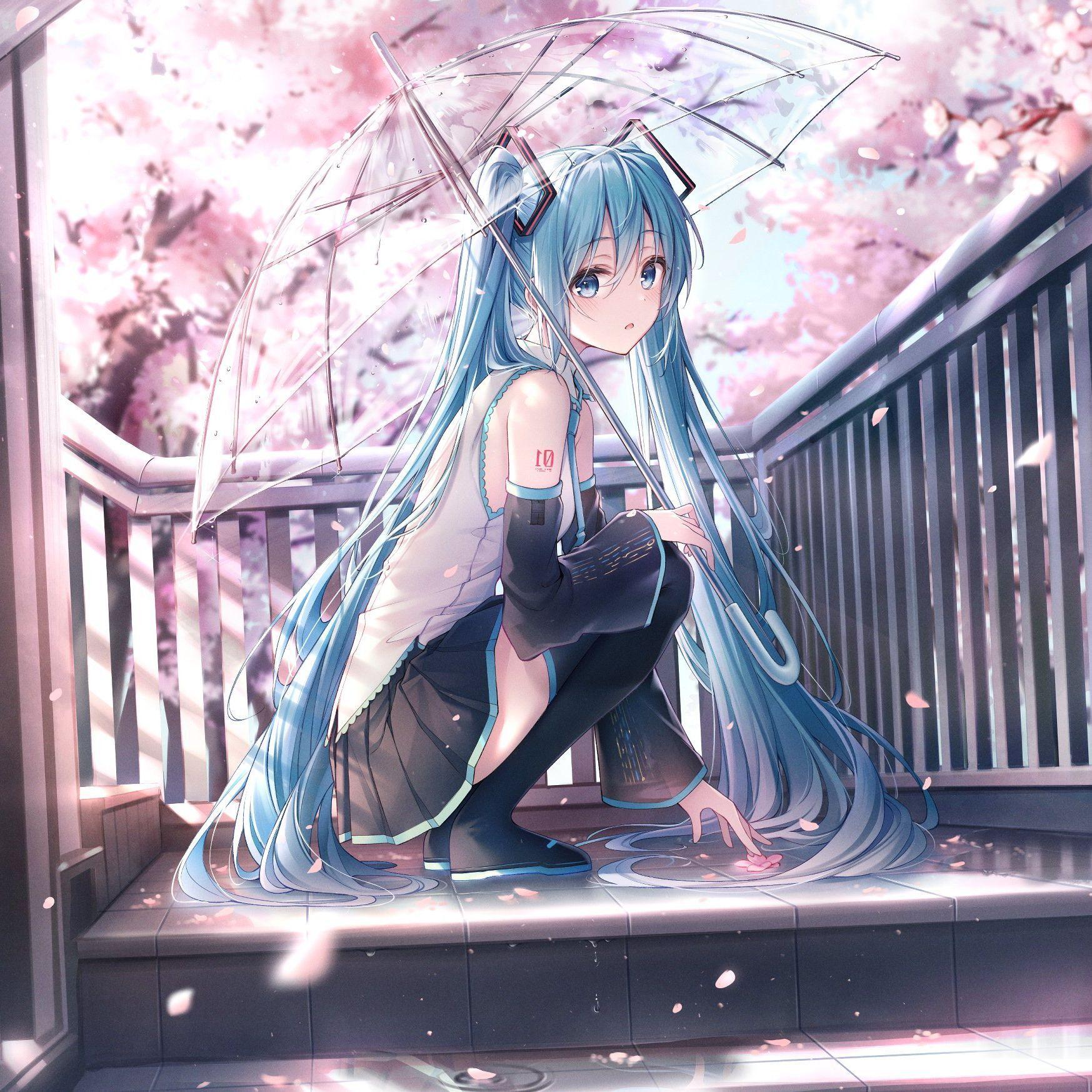 Wpsidn avatar