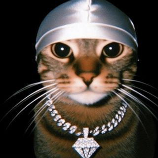 Vomtis avatar
