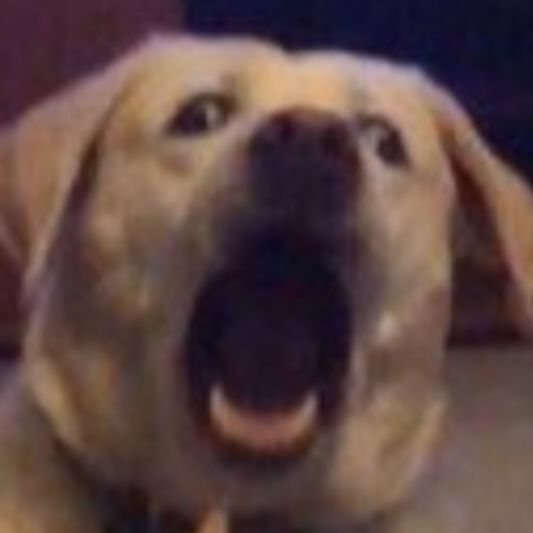 DizzyTF