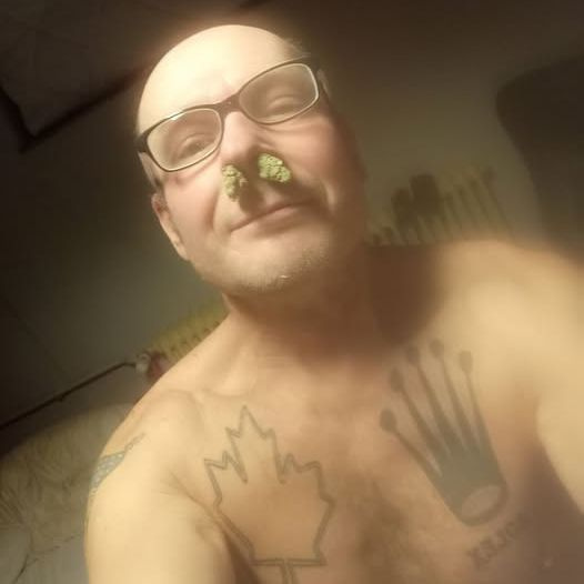 BoloECPU
