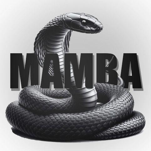 MAMBAA avatar