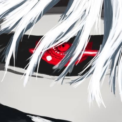 -shedever-