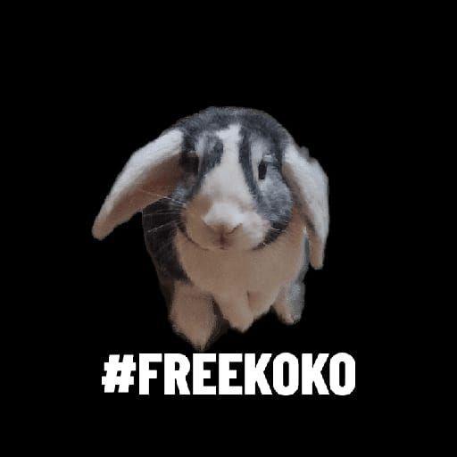 FREEKOKO avatar