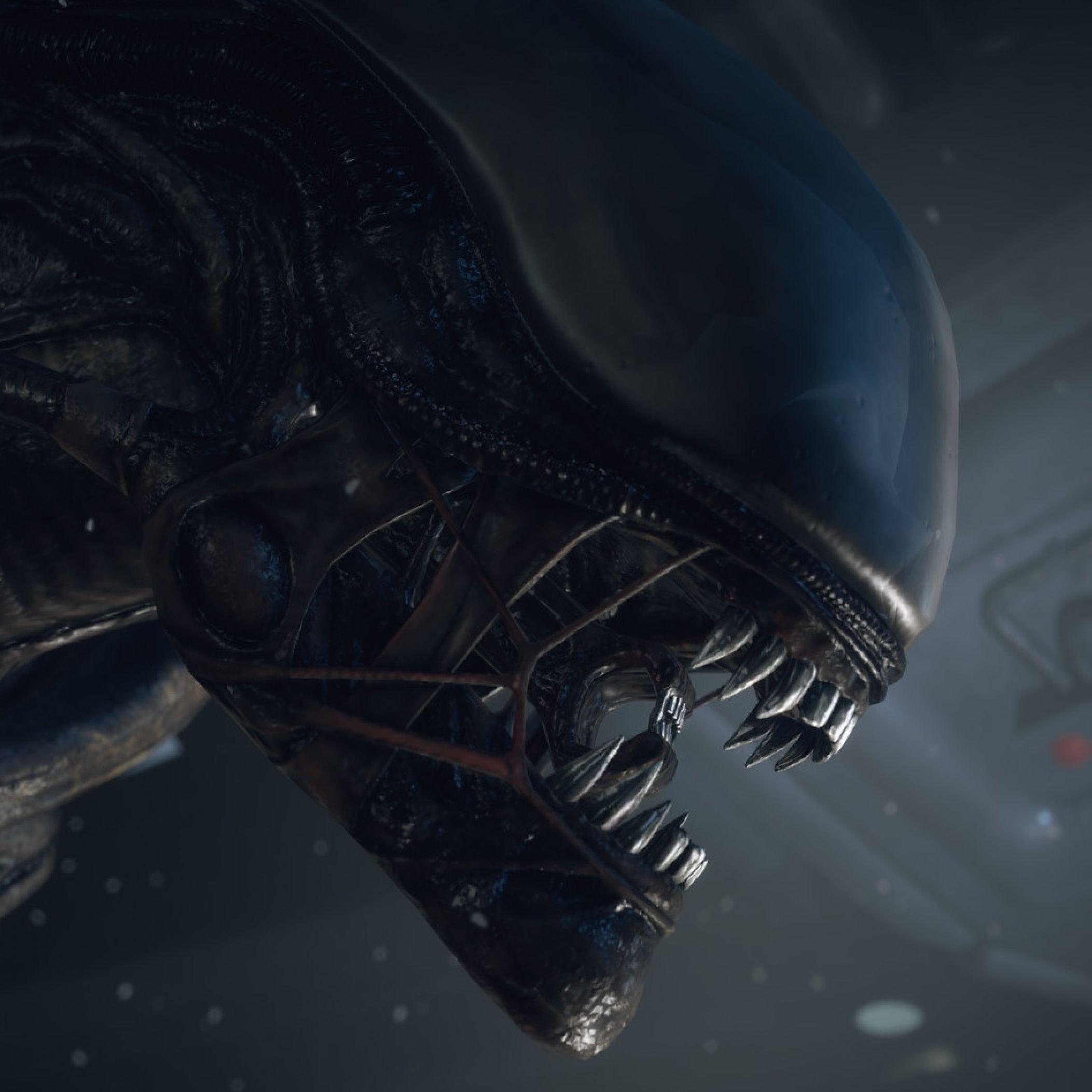 Xenomorph13 avatar