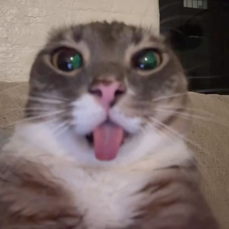 AwwShuxzie