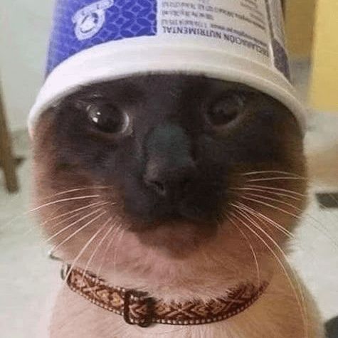 -Starcat- FACEIT avatar