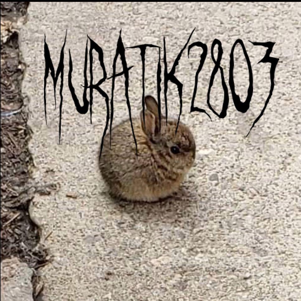 muratik2803 avatar