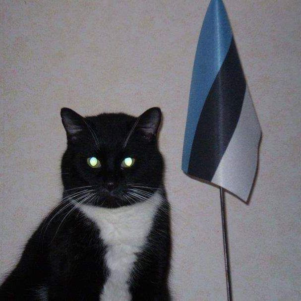 pomponn