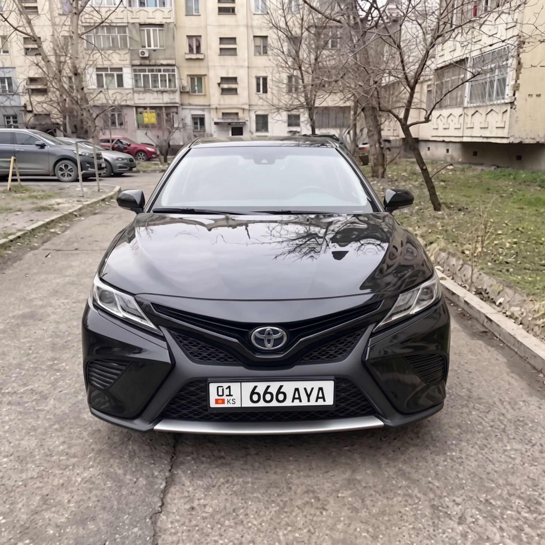 666AYA