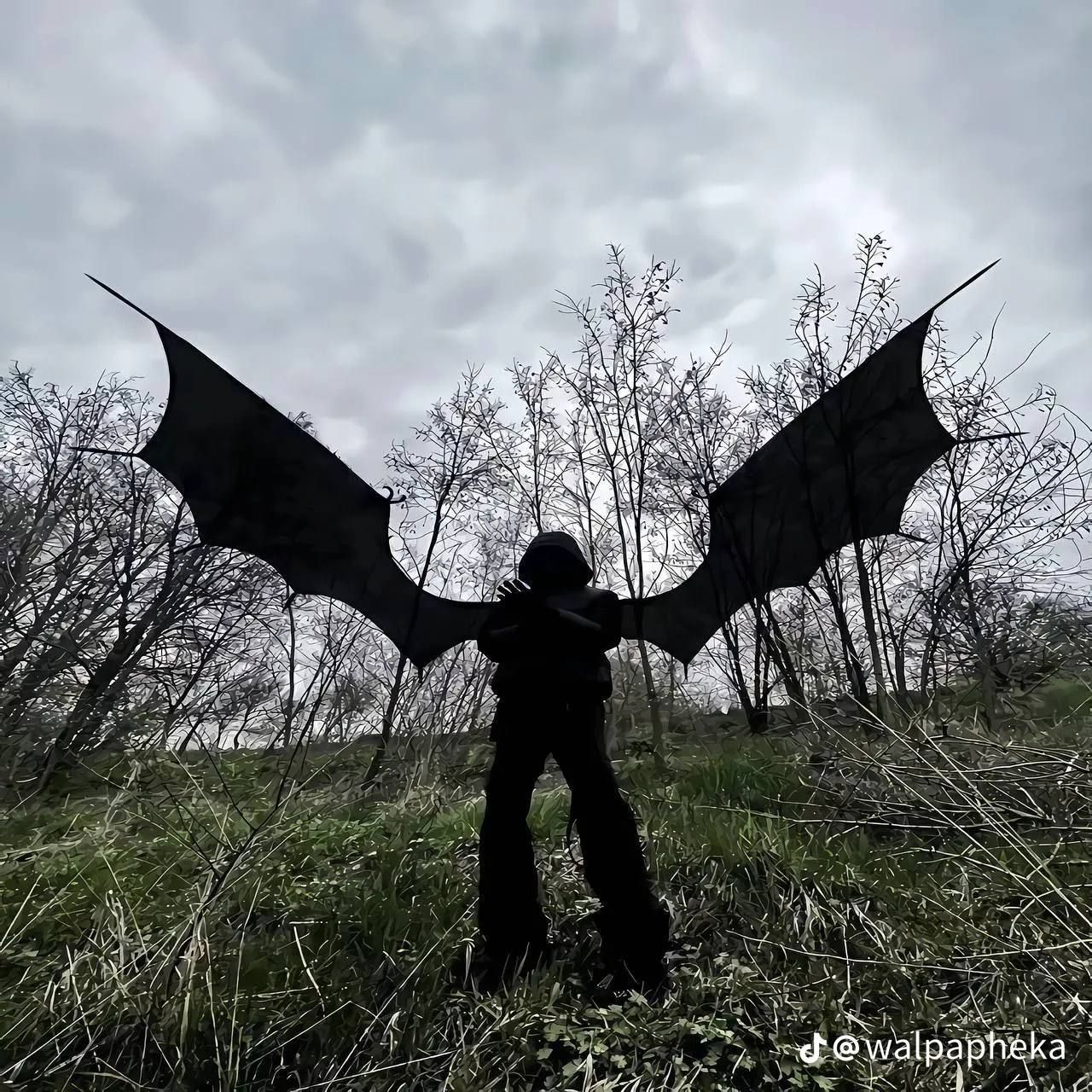 mevfa666 avatar