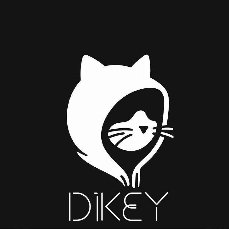 D1keyR8 avatar