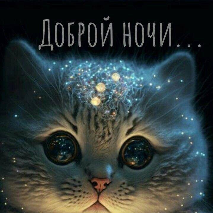 VadikRKstar avatar