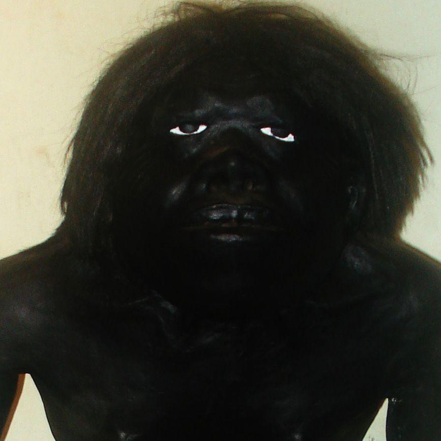 VairoTembo avatar