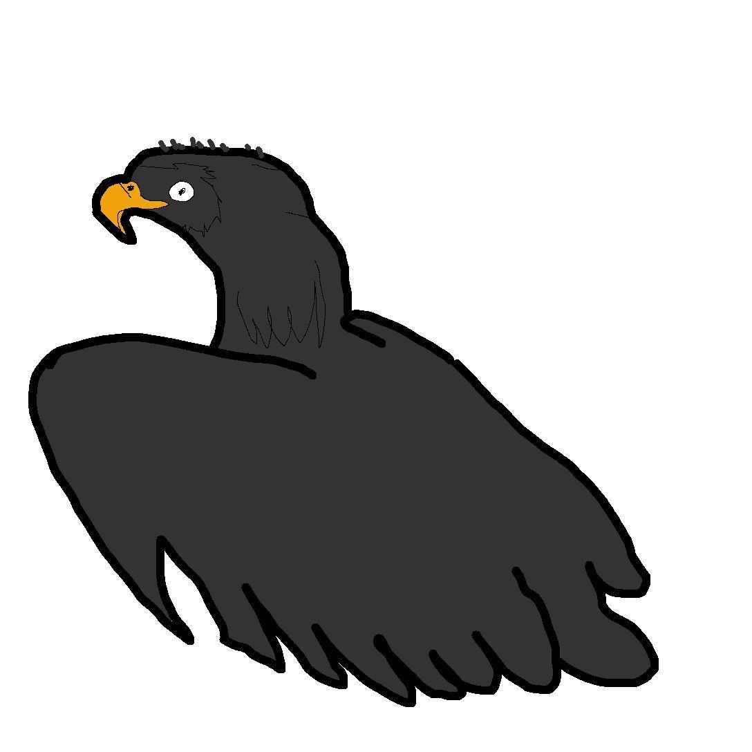 BigBlackHawks