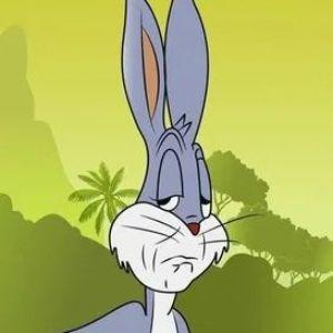 timonBoba avatar