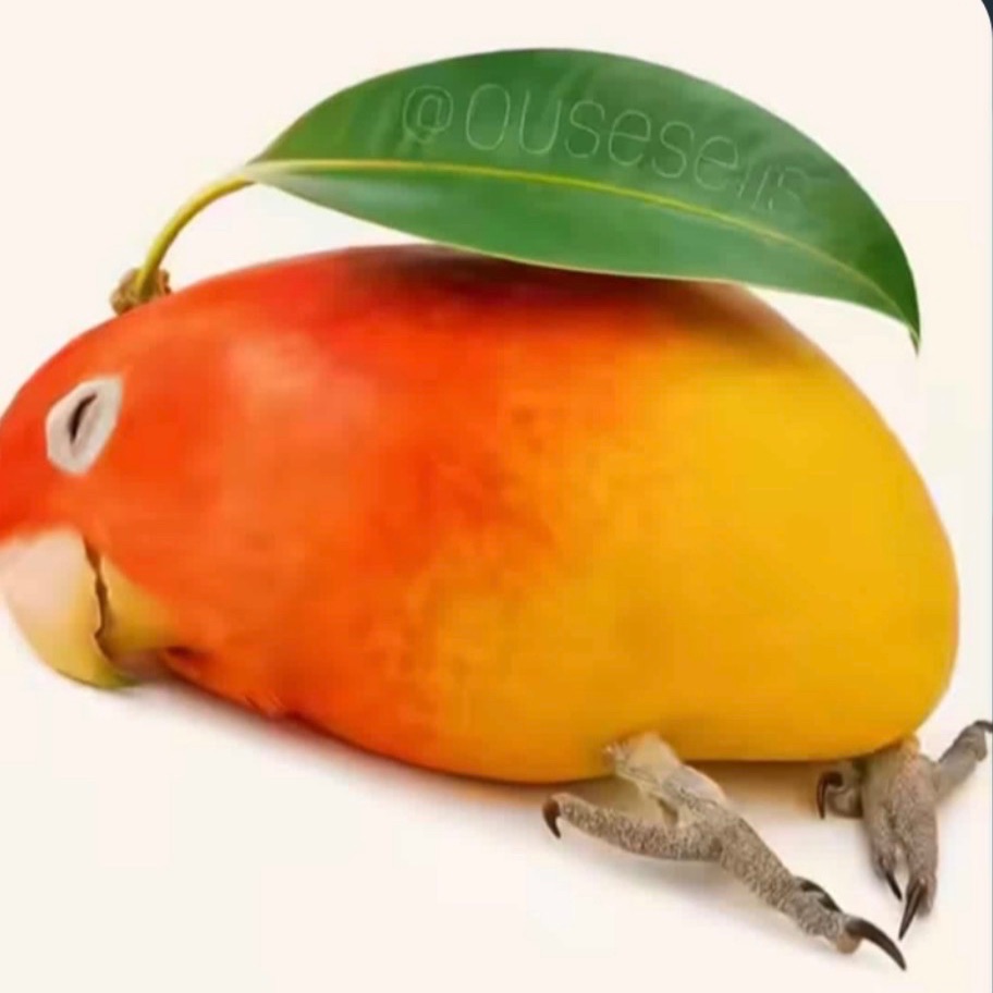 szczuraass FACEIT avatar