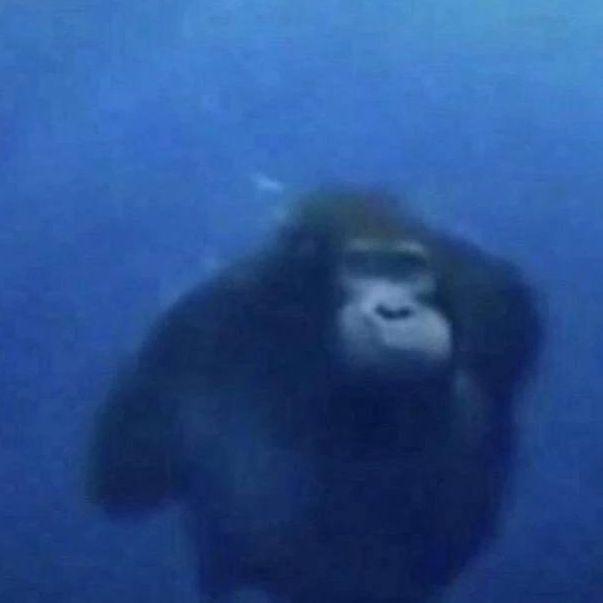 soninbtw