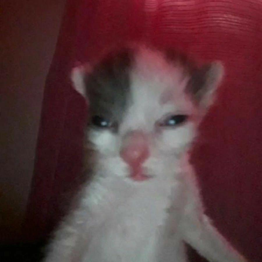 FIMOZPEEK avatar