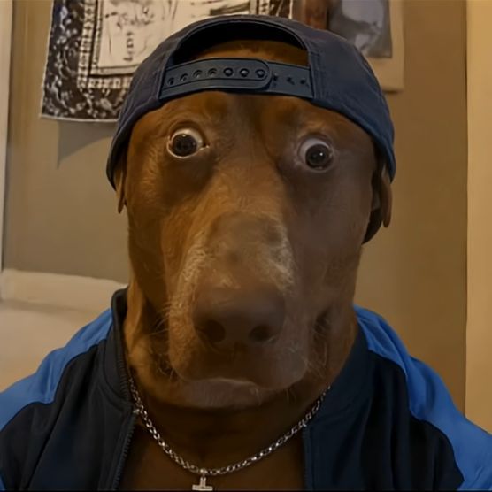 jendwoz