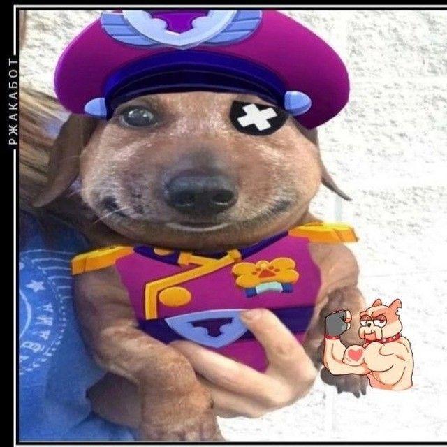 IzorPlay avatar