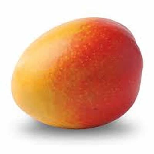 mAngO_K1nG