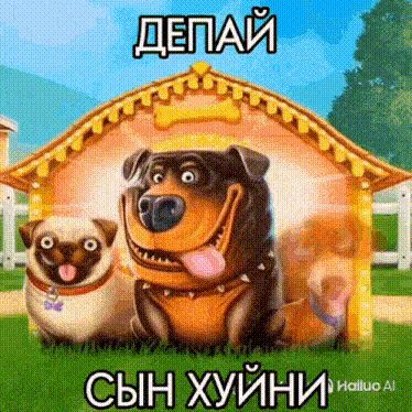 team_nugop777
