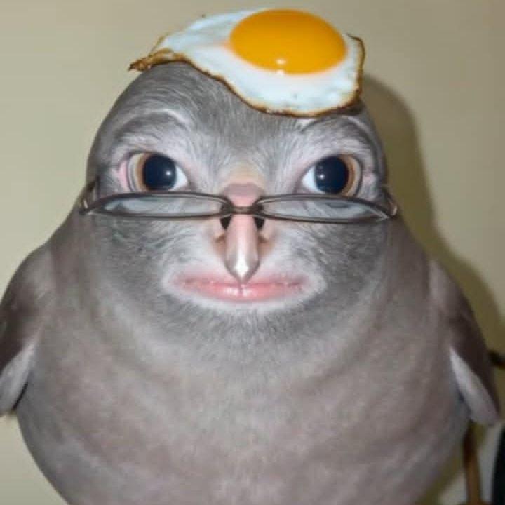 piotrekteru avatar