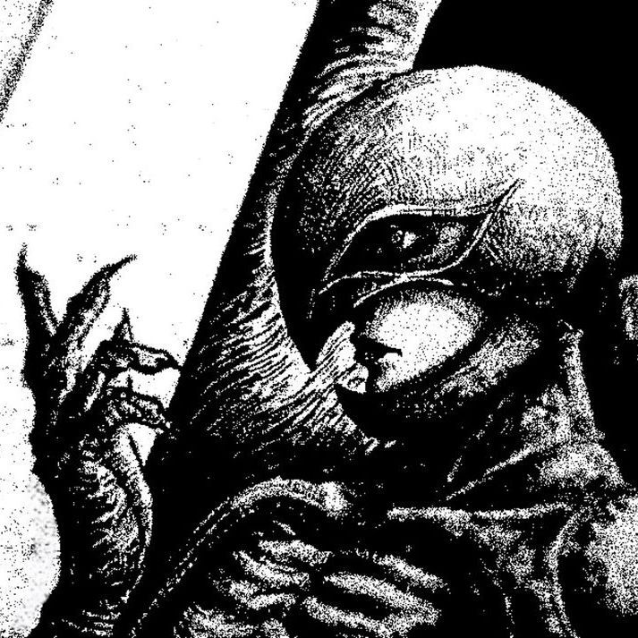 saintfemto