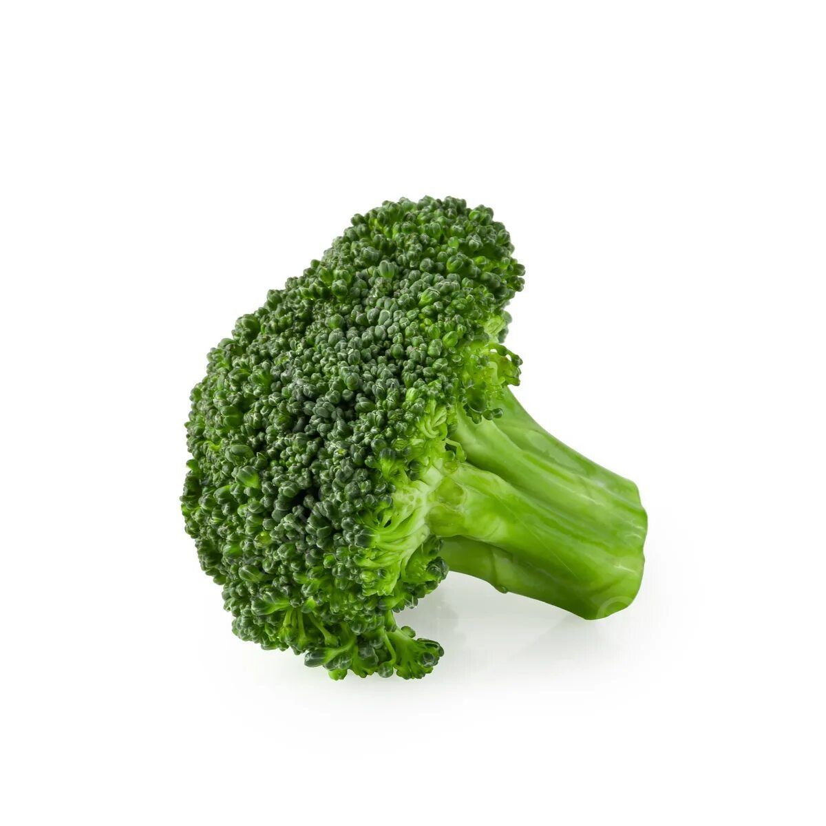rpex_leni