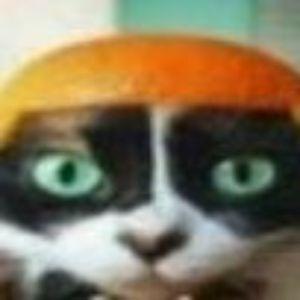 LilsavEEXXX avatar