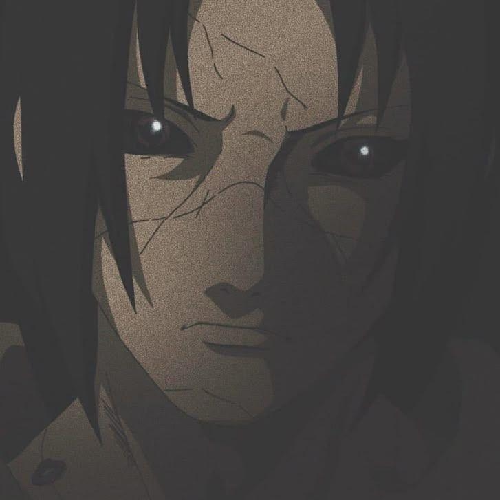 lysav1 avatar
