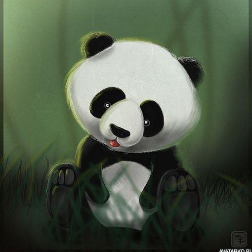 Panda-234 avatar