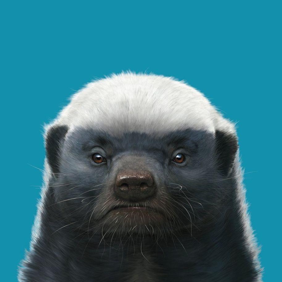 _rasp1zdai avatar