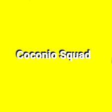 CoconiO avatar