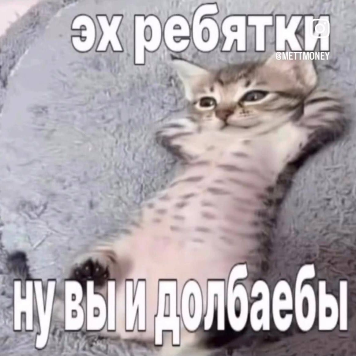 PuReE_ShKa