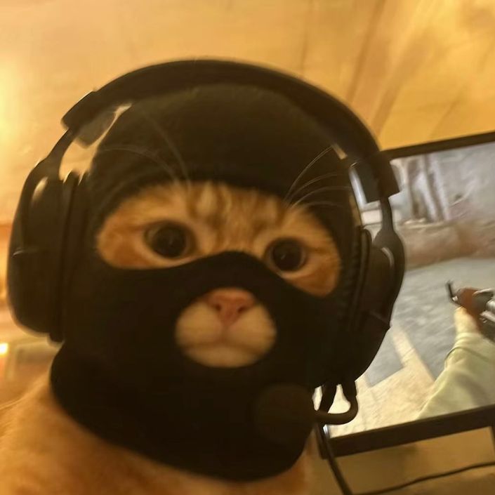 nyaZMalik